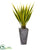 Silk Plants Direct Agave Artificial Plant - Pack of 1