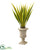 Silk Plants Direct Agave Artificial Plant - Pack of 1