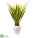 Silk Plants Direct Agave Artificial Plant - Pack of 1