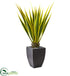 Silk Plants Direct Agave Artificial Plant - Pack of 1