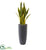 Silk Plants Direct Sansevieria Artificial Plant - Pack of 1