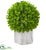 Silk Plants Direct Eucalyptus Artificial Ball - Pack of 1