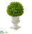 Silk Plants Direct Eucalyptus Artificial Ball Topiary - Pack of 1