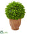 Silk Plants Direct Eucalyptus Artificial Ball - Pack of 1