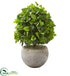 Silk Plants Direct Ficus Artificial Tree - Pack of 1