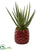 Silk Plants Direct Aloe Artificial Plant - Pack of 1