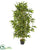 Silk Plants Direct Bamboo Artificial Tree - Pack of 1