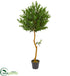 Silk Plants Direct Olive Topiary Artificial - Pack of 1