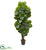 Silk Plants Direct Fiddle Leaf Fig Artificial Tree - Pack of 1