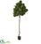Silk Plants Direct Fiddle leaf fig Artificial tree - Pack of 1