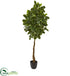 Silk Plants Direct Beech Leaf Artificial Tree - Pack of 1