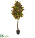 Silk Plants Direct Croton Artificial Tree - Pack of 1