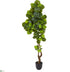 Silk Plants Direct Fiddle Leaf Artificial Tree - Pack of 1