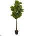 Silk Plants Direct Rubber Leaf Artificial Tree - Pack of 1