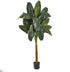 Silk Plants Direct Banana Artificial Tree - Pack of 1