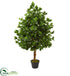 Silk Plants Direct Evergreen Artificial Tree - Pack of 1