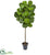 Silk Plants Direct Fiddle Leaf Artificial Tree With Decorative Planter - Pack of 1