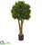 Silk Plants Direct Boxwood Artificial Topiary - Pack of 1