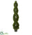 Silk Plants Direct Double Pond Cypress Spiral Topiary Artificial - Pack of 1