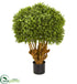Silk Plants Direct Boxwood Artificial Topiary Tree - Pack of 1