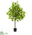 Silk Plants Direct Lemon Artificial Tree - Pack of 1