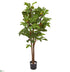 Silk Plants Direct Fig Artificial Tree - Pack of 1
