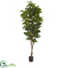 Silk Plants Direct Fig Artificial Tree - Pack of 1