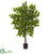 Silk Plants Direct River Birch Artificial Tree - Pack of 1