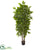 Silk Plants Direct River Rirch Artificial Tree - Pack of 1