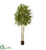 Silk Plants Direct Bamboo Artificial Tree - Pack of 1