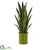 Silk Plants Direct Sansevieria Artificial Plant - Pack of 1