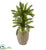 Silk Plants Direct Double Cycas Artificial Plant - Pack of 1