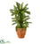 Silk Plants Direct Double Cycas Artificial Plant - Pack of 1