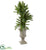 Silk Plants Direct Triple Cycas Artificial Plant - Pack of 1