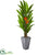 Silk Plants Direct Heliconia Artificial Plant - Pack of 1