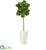 Silk Plants Direct Fiddle Leaf Artificial Tree - Pack of 1