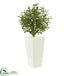 Silk Plants Direct Olive Artificial Tree - Pack of 1