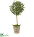 Silk Plants Direct Olive Artificial Tree - Pack of 1