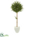 Silk Plants Direct Olive Topiary Artificial Tree - Pack of 1