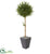 Silk Plants Direct Olive Topiary Artificial Tree - Pack of 1