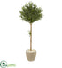 Silk Plants Direct Olive Topiary Artificial Tree - Pack of 1