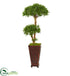 Silk Plants Direct Bonsai Styled Podocarpus Artificial Tree - Pack of 1