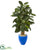 Silk Plants Direct Artificial Rubber Tree - Pack of 1