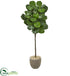 Silk Plants Direct Fiddle Leaf Artificial Tree - Pack of 1