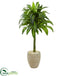 Silk Plants Direct Dracaena Artificial Plant - Pack of 1