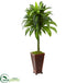 Silk Plants Direct Dracaena Artificial Plant - Pack of 1