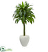 Silk Plants Direct Dracaena Artificial Plant - Pack of 1