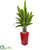 Silk Plants Direct Travelers Palm Artificial Tree - Pack of 1