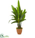 Silk Plants Direct Travelers Palm Artificial Tree - Pack of 1