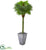 Silk Plants Direct Fan Palm Artificial Tree - Pack of 1